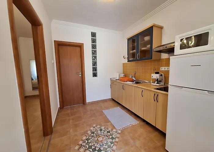 Apartment Ozon