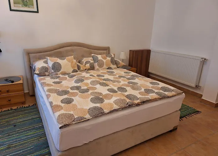 Ozon Apartment