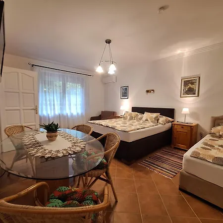 Ozon Apartment Hajduszoboszlo